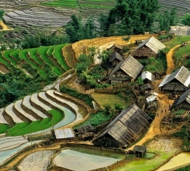 SAPA TREKKING 2D/1N (BUS - HOMESTAY)