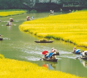 HOA LU - TAM COC