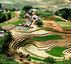 SAPA TREK 3D/4N (TRAIN - HOTEL - HOMESTAY)